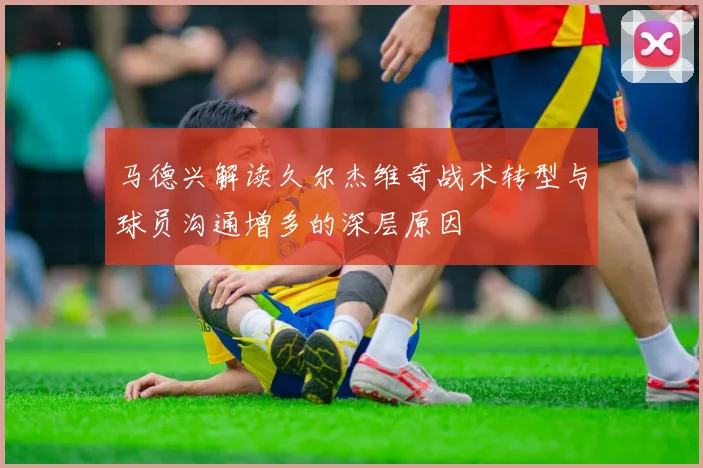 马德兴解读久尔杰维奇战术转型与球员沟通增多的深层原因